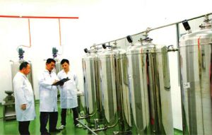 pro eco health factory propolis refining process